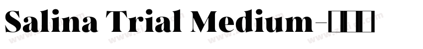 Salina Trial Medium字体转换